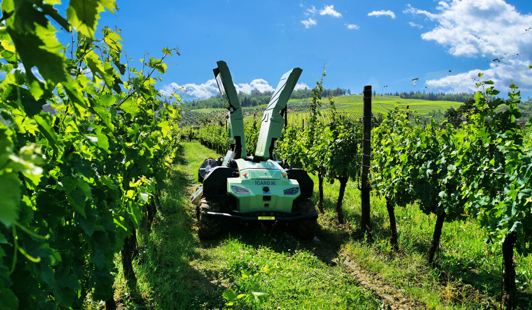 icaro-x4-free-green-nature